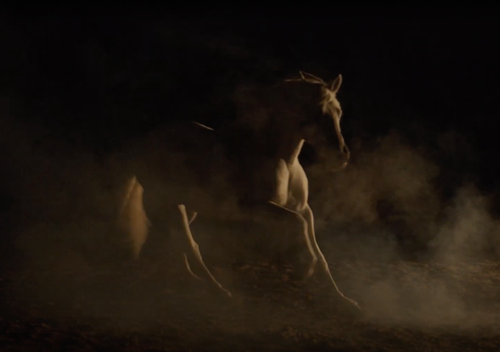 Показ документального фильма «Лошади» 