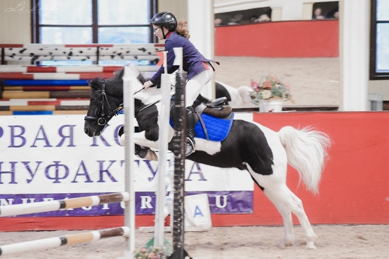 Всероссийские соревнования для всадников на пони в КСЦ «Измайлово» 