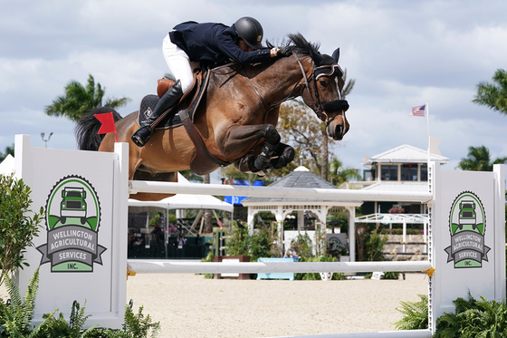 Адам Прудент выиграл Гран-при CSI4* в Веллингтоне 