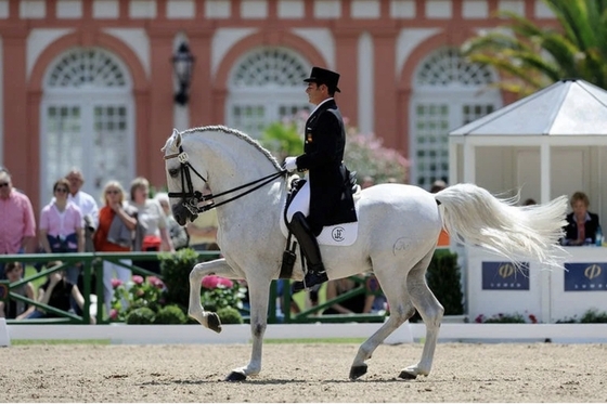 CDI Wiesbaden 2021 отменен