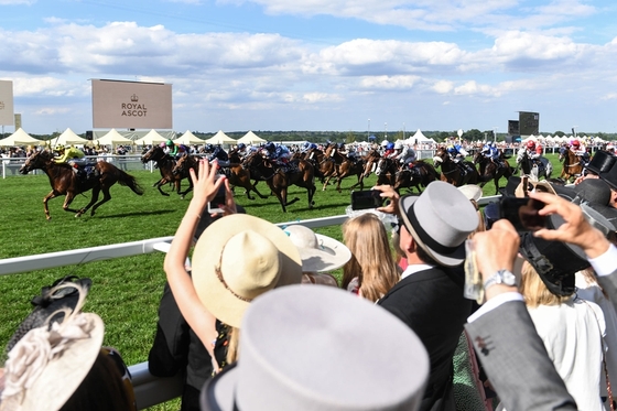 Royal Ascot 2021 пройдет в середине июня 