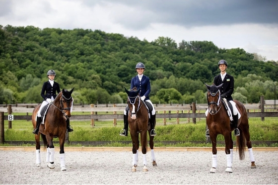 В Харькове в VG Horse Club проходит этап Кубка мира по выездке 