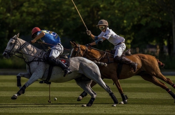 Михаил Родзянко забил 2 гола на Polo Rider Cup в Шантийи 