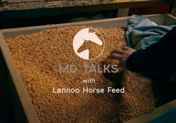 MD Talks о бельгийской компании Lannoo и рационе лошадей
