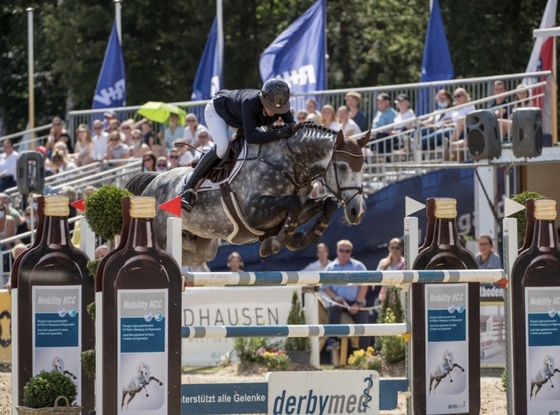 Жеребец из Жашковского к/з выиграл чемпионат Германии для 5-летних лошадей
