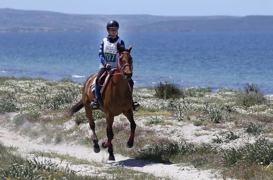 Чемпионат мира по пробегам среди молодых лошадей пройдет в Сардинии 