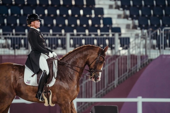 Олимпийская лошадь Изабель Верт Белла Роза перенесла операцию 