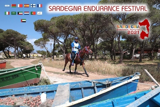 В Сардинии стартует чемпионат мира по пробегам среди молодых лошадей 