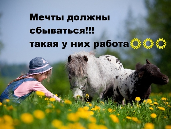 Мечты должны сбываться!