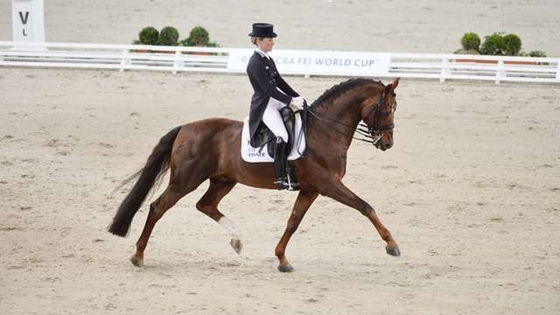 Этап Гран-при по выездке Reem Acra FEI World Cup 2013