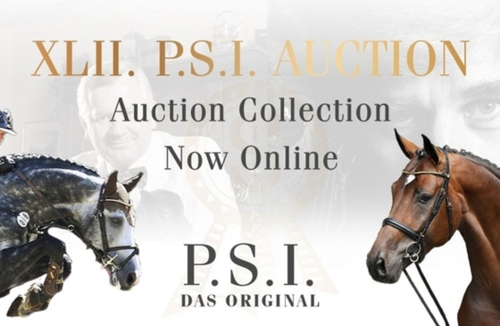 Презентация выездковых лошадей аукциона P.S.I. начинается 