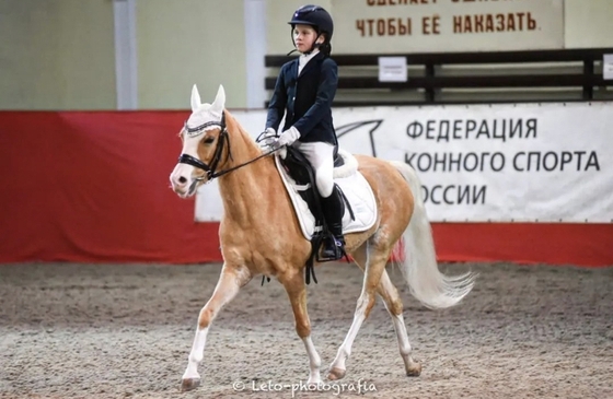 В КСК «Измайлово» пройдет турнир по пони-спорту 