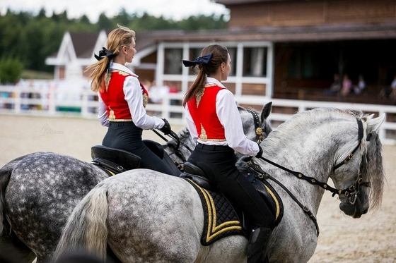 17 000 гостей посетили конный фестиваль «Иваново поле»