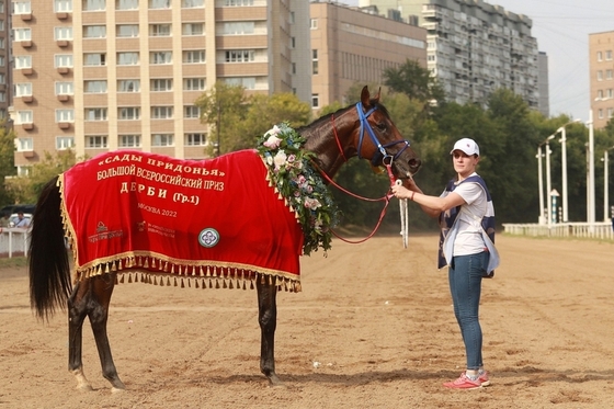 Первый «классик» от Калифорнии Хрома