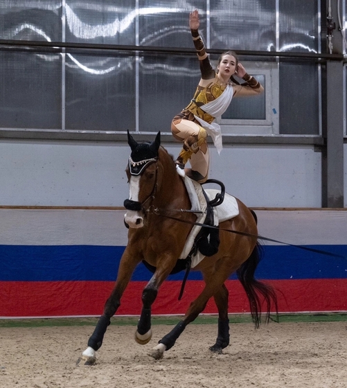 Встречайте новых чемпионов Москвы по вольтижировке!