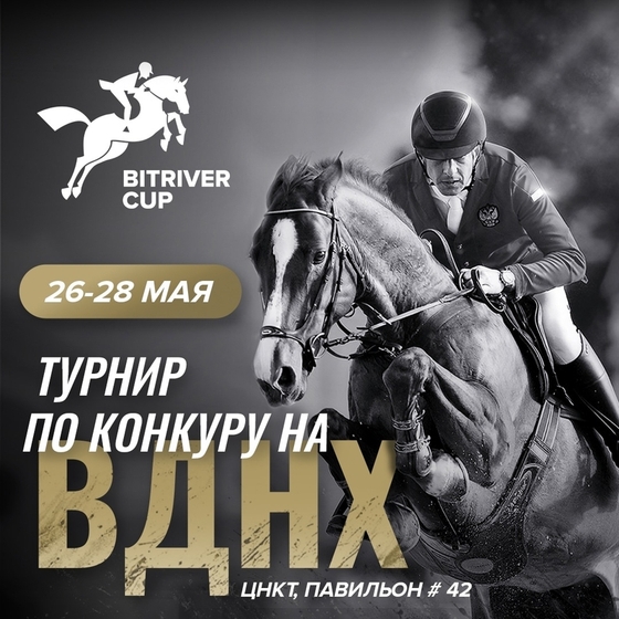 BitRiver Cup стартует уже завтра!