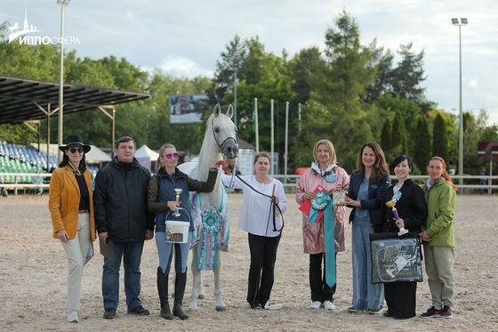 9 июня в рамках Международной конной выставки «Иппосфера» состоялось шоу арабских лошадей «Восток-Запад 2023» 
