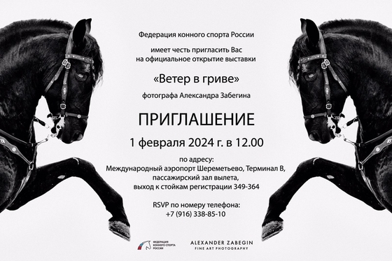 «Ветер в гриве»
