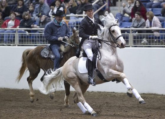 Выставка Pennsylvania Horse World Expo