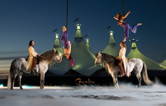 Компания Cavalia объявила о банкротстве