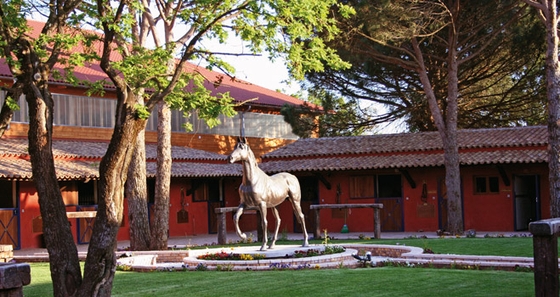 VIDAUBAN DRESSAGE FESTIVAL