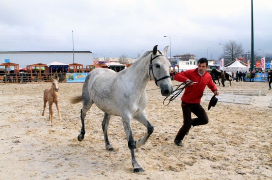 Feira Anual da Trofa