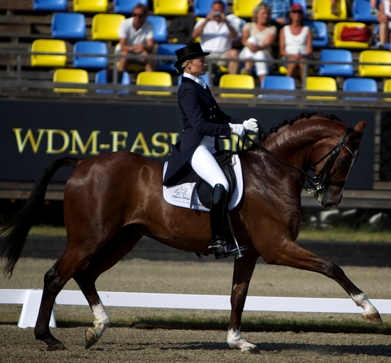 Falsterbo horse show 2014