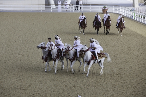 CHI Al Shaqab: Восточный размах