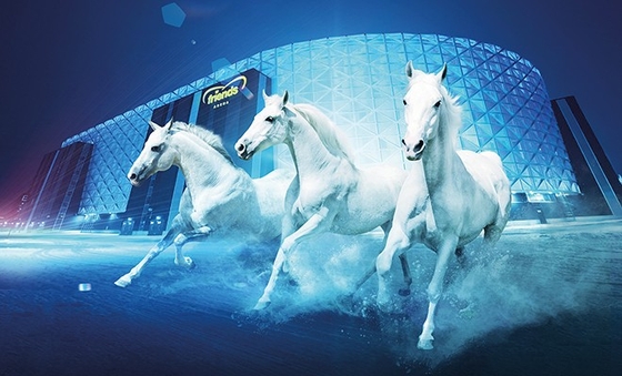 Международное шведское конное шоу