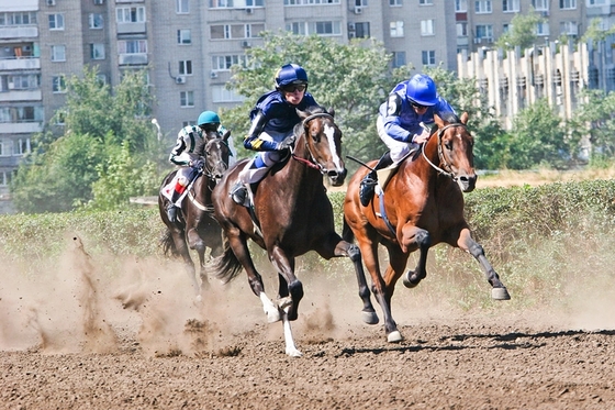 Скачки на Ростовском ипподроме. Дерби