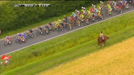 Лошадь не смогла обогнать велосипедистов на Tour de France