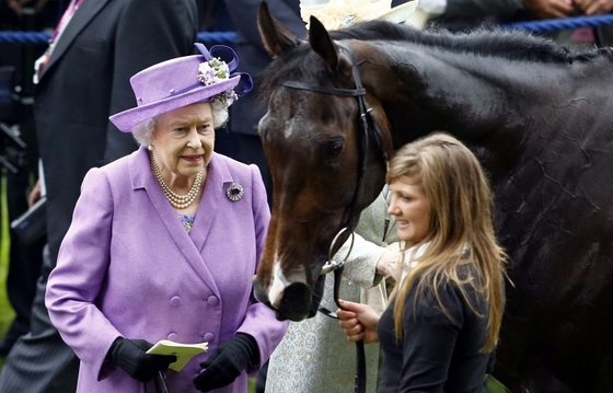 Скаковая лошадь королевы Великобритании не прошла допинг-тест