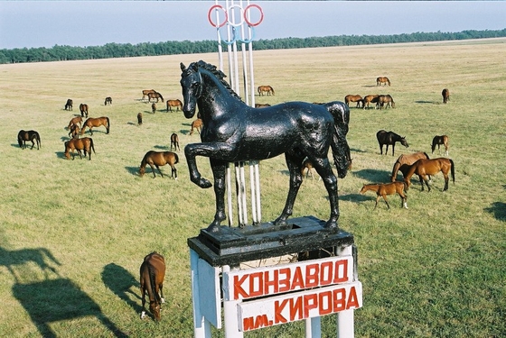 Кубок Губернатора Ростовской области по конкуру