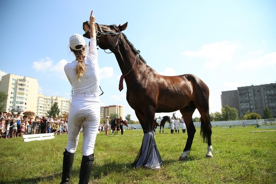В Екатеринбурге устроили конкурс красоты для лошадей