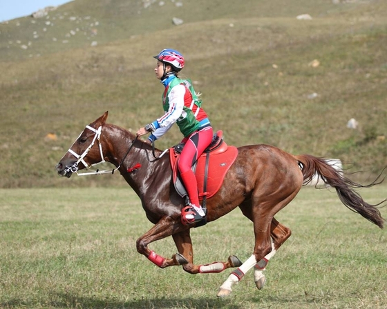 Победители чемпионата России по дистанционным конным пробегам