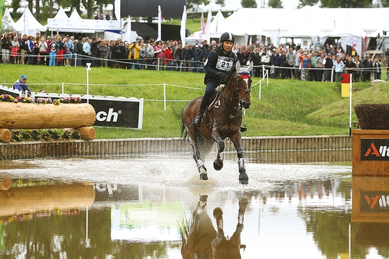 Чемпионат мира по троеборью для молодых лошадей стартует в Лионе