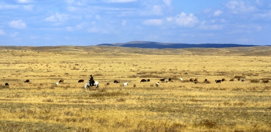 Подросток провел на лошади четыря дня в казахстанской степи