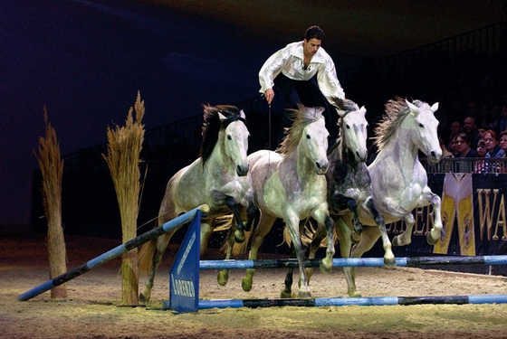  Madrid Horse Week: конный спорт и шоу в Испании!