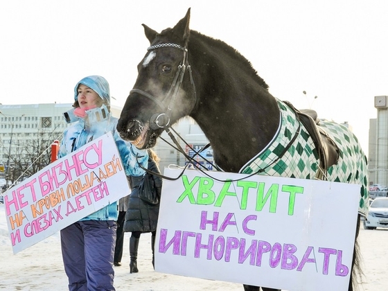 Эпопея с Пермским ипподромом продолжается