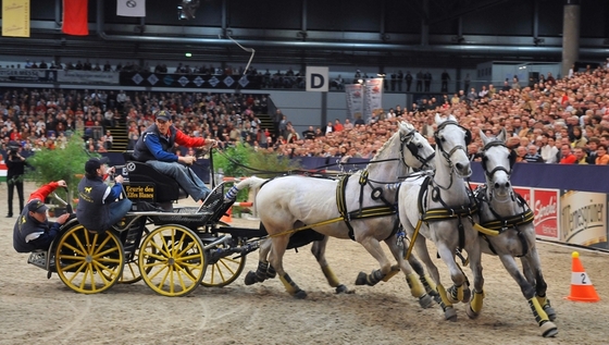 PARTNER PFERD LEIPZIG 2015