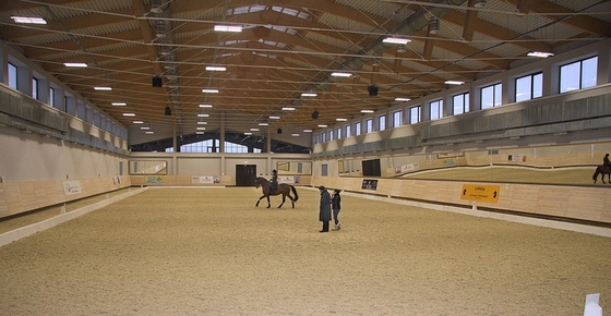 Уроки выездки с Гисленом Фуаржем прошли в Maxima Stables