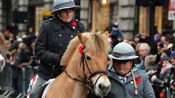 Традиционный новогодний парад прошел в Лондоне