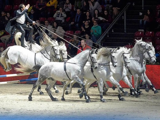  Longines CSI5* Basel