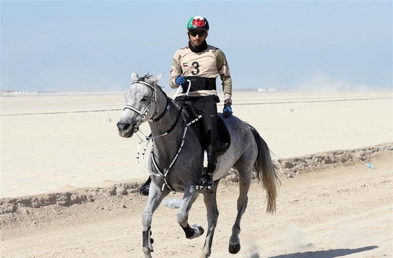 Красный свет дистанционным конным пробегам в ОАЭ