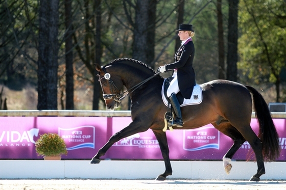 VIDAUBAN DRESSAGE FESTIVAL