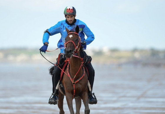 Международная федерация конного спорта запретила пробеги в ОАЭ