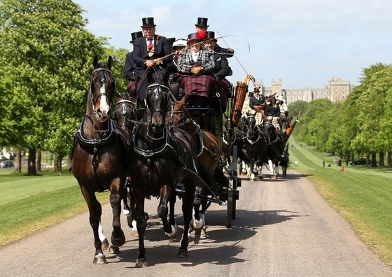 Королевское конное шоу пройдет в Великобритании