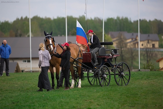 Успехи российских спортсменов на соревнованиях по драйвингу