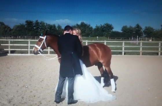Первый танец невесты прошел... на лошади!
