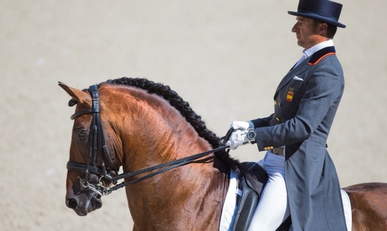 Испанским всадникам и испанским лошадям не было равных на турнире в Мадриде